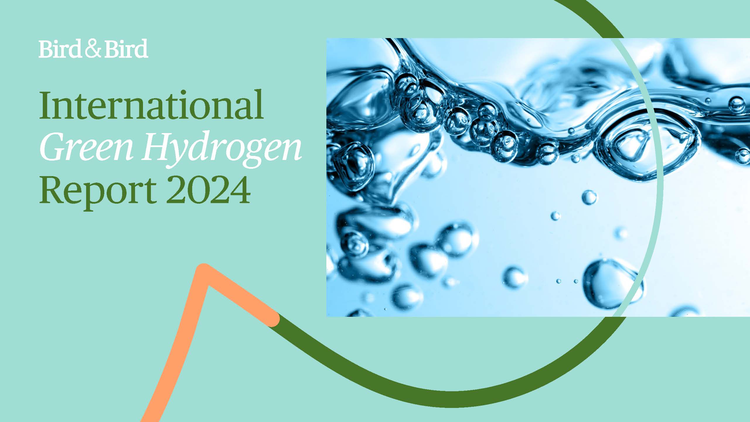 International Green Hydrogen Report